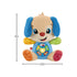 Fisher Price Laugh & Learn Puppy